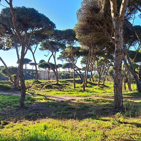 Sea Wave Sounds, Meco, By The Beach Sesimbra Buitenkant foto